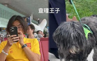  李磊社媒喜贺国足胜巴林，韦世豪戏称如犬。